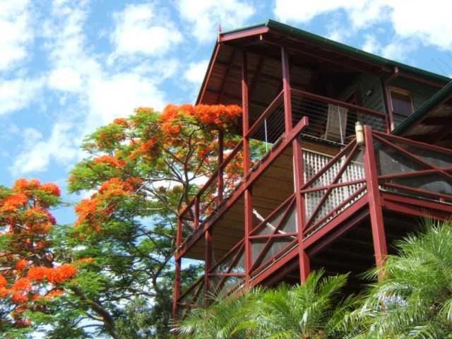 Maleny Tropical Retreat Bed & Breakfast Ngoại thất bức ảnh