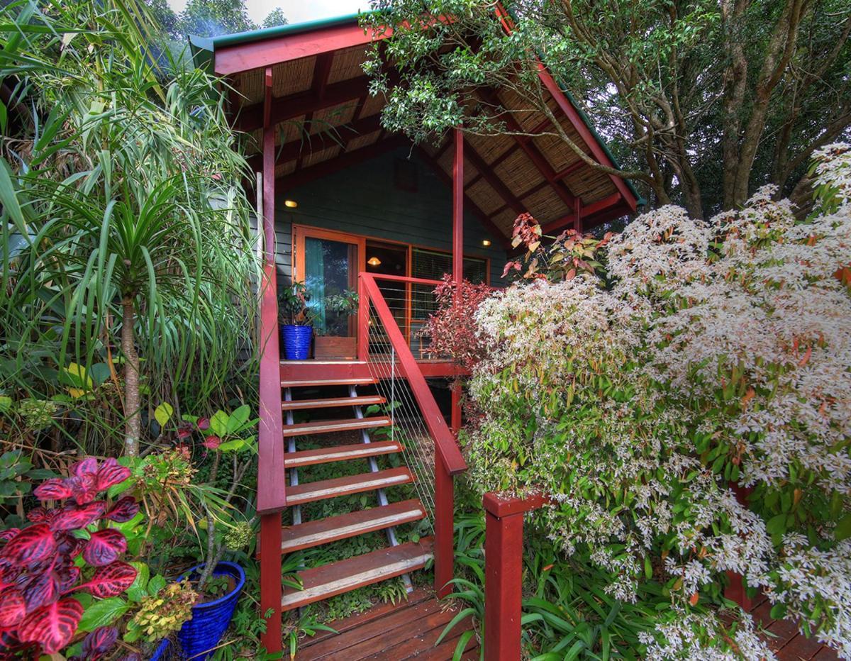 Maleny Tropical Retreat Bed & Breakfast Ngoại thất bức ảnh
