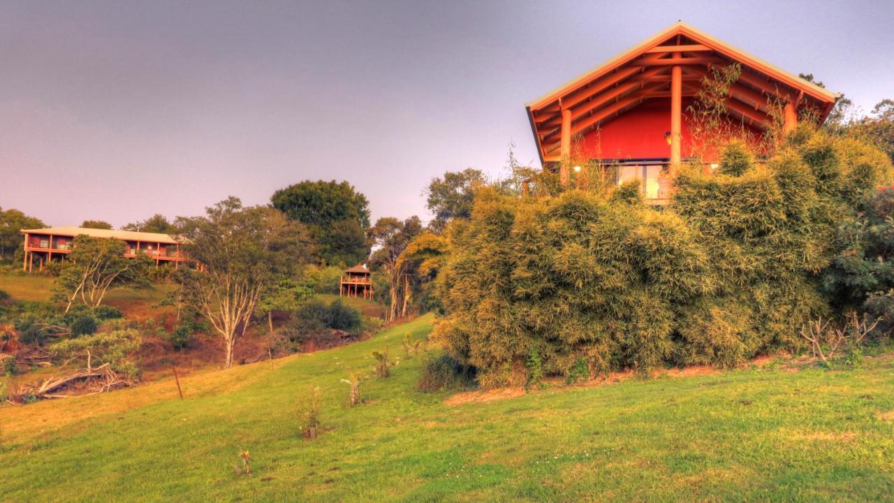 Maleny Tropical Retreat Bed & Breakfast Ngoại thất bức ảnh