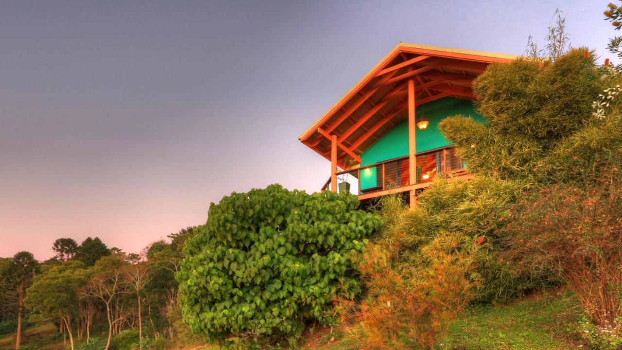 Maleny Tropical Retreat Bed & Breakfast Ngoại thất bức ảnh