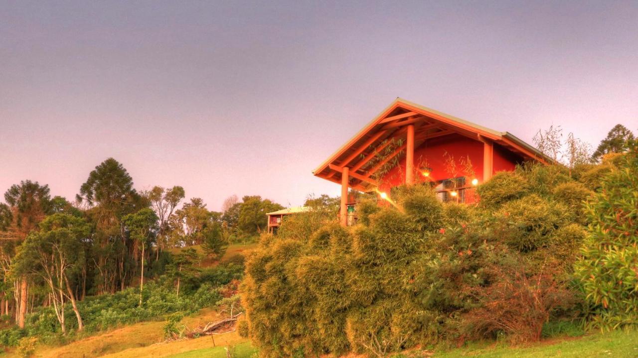 Maleny Tropical Retreat Bed & Breakfast Ngoại thất bức ảnh