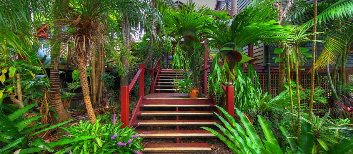 Maleny Tropical Retreat Bed & Breakfast Ngoại thất bức ảnh